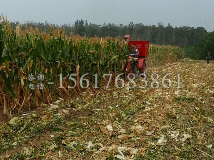 兩行玉米收割機收穫現場